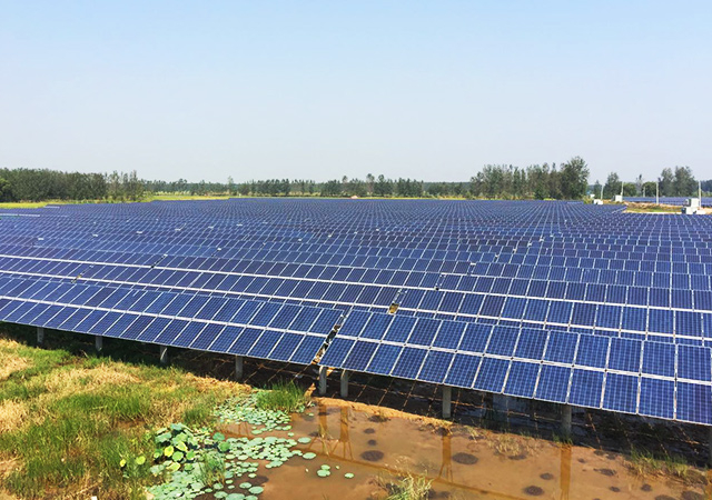 pg�ͽ�Ů��(�ٷ�)����IOS/��׿��/�ֻ���APP����