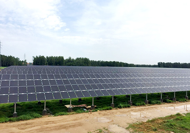 pg�ͽ�Ů��(�ٷ�)����IOS/��׿��/�ֻ���APP����