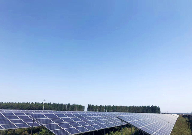 pg�ͽ�Ů��(�ٷ�)����IOS/��׿��/�ֻ���APP����