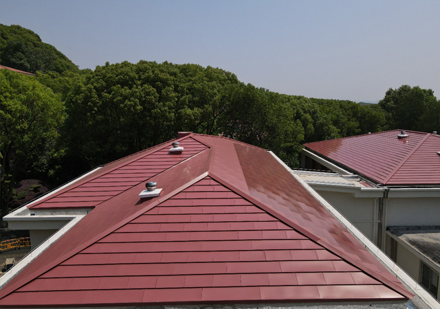 pg�ͽ�Ů��(�ٷ�)����IOS/��׿��/�ֻ���APP����